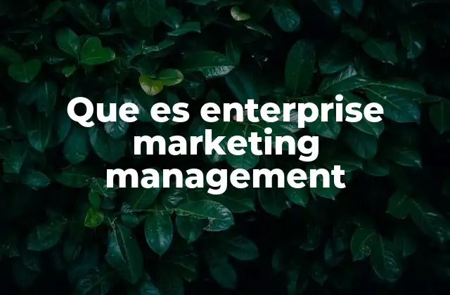 Que es Enterprise Marketing Management