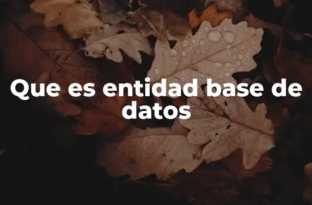 Que es Entidad Base de Datos