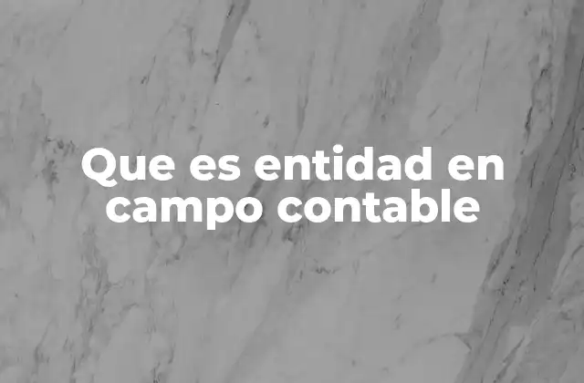 El principio de entidad en contabilidad