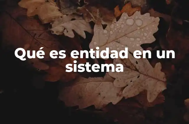 Qué es Entidad en un Sistema