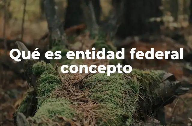 Qué es Entidad Federal Concepto