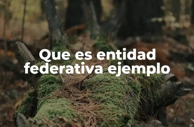 Que es Entidad Federativa Ejemplo