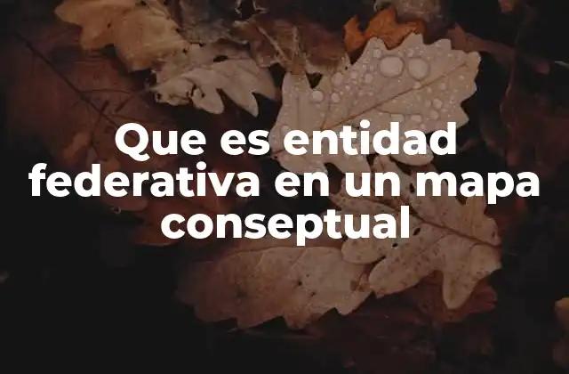 Que es Entidad Federativa en un Mapa Conseptual
