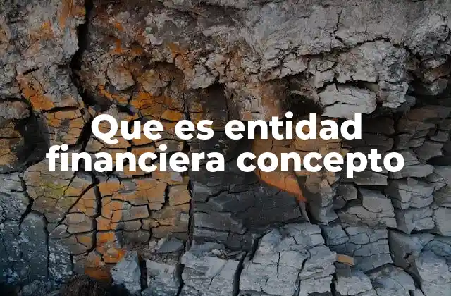 Que es Entidad Financiera Concepto