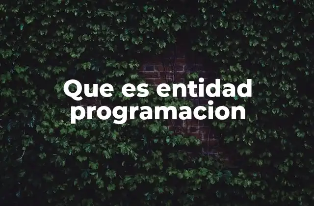 Que es Entidad Programacion
