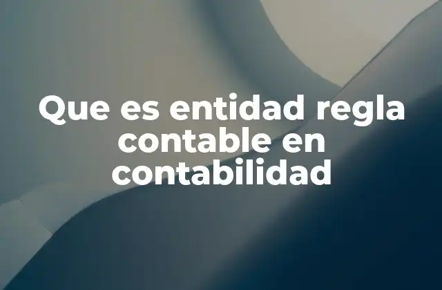 Que es Entidad Regla Contable en Contabilidad