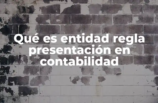 Qué es Entidad Regla Presentación en Contabilidad