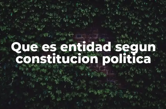 Que es Entidad Segun Constitucion Politica
