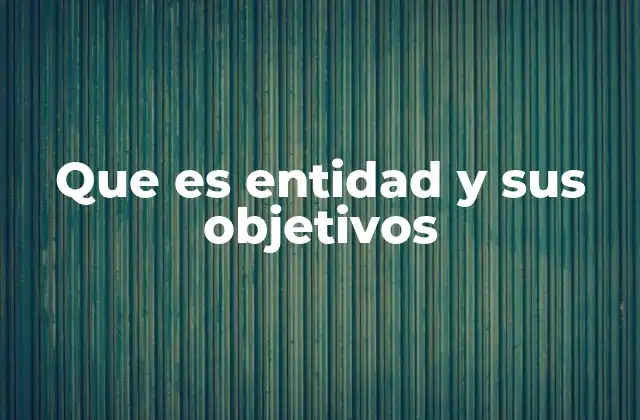 Que es Entidad y Sus Objetivos