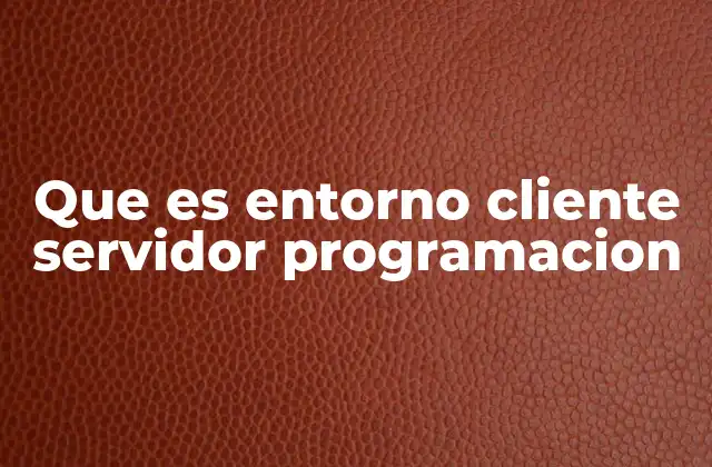Que es Entorno Cliente Servidor Programacion