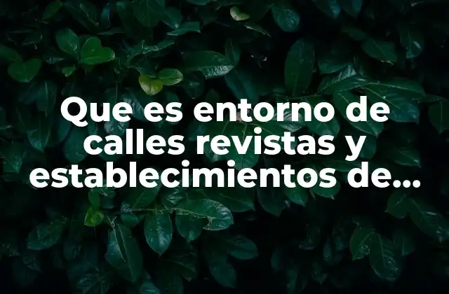 Que es Entorno de Calles Revistas y Establecimientos de Ventas