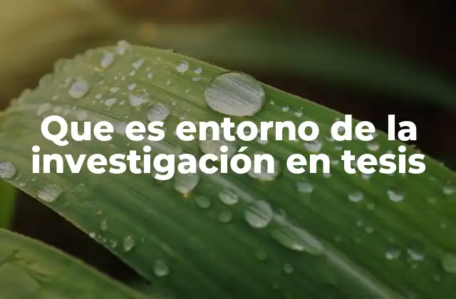 Que es Entorno de la Investigación en Tesis