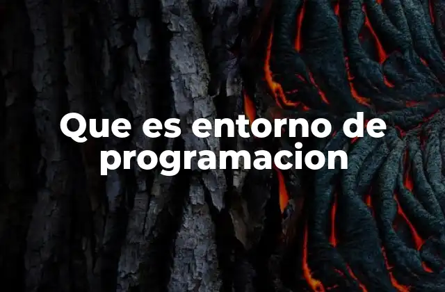 Que es Entorno de Programacion