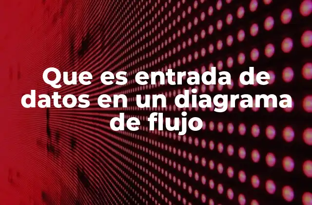Que es Entrada de Datos en un Diagrama de Flujo