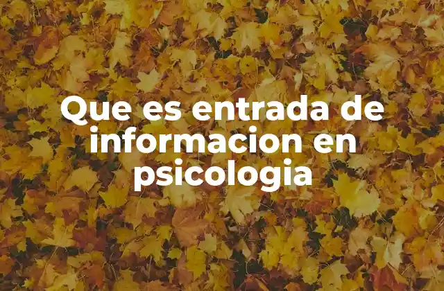 Que es Entrada de Informacion en Psicologia