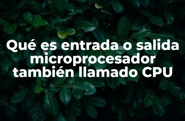Qué es Entrada o Salida Microprocesador También Llamado Cpu