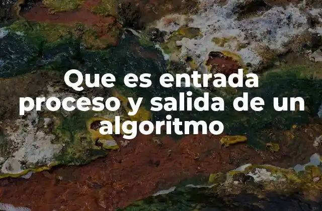 Que es Entrada Proceso y Salida de un Algoritmo
