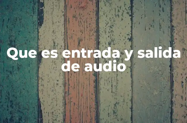 Que es Entrada y Salida de Audio
