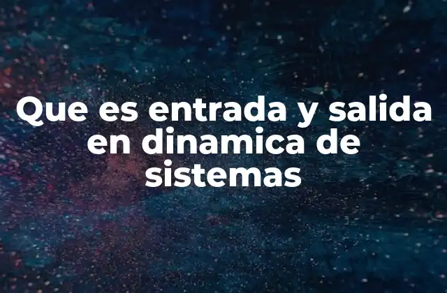 Que es Entrada y Salida en Dinamica de Sistemas