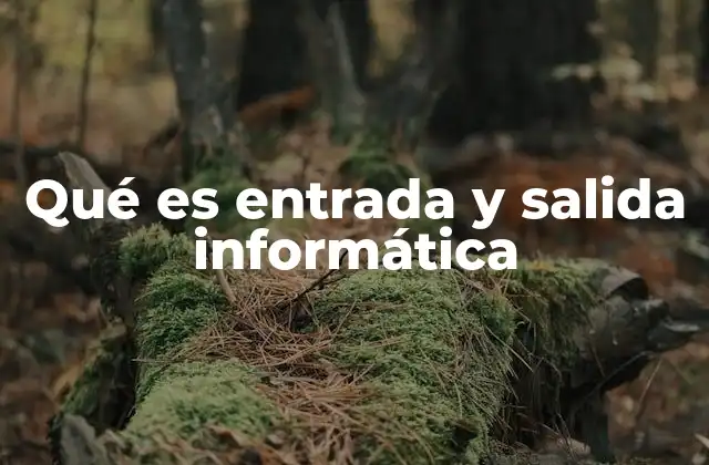 Qué es Entrada y Salida Informática 2 Cómo funciona la interacción entre dispositivos y el usuario