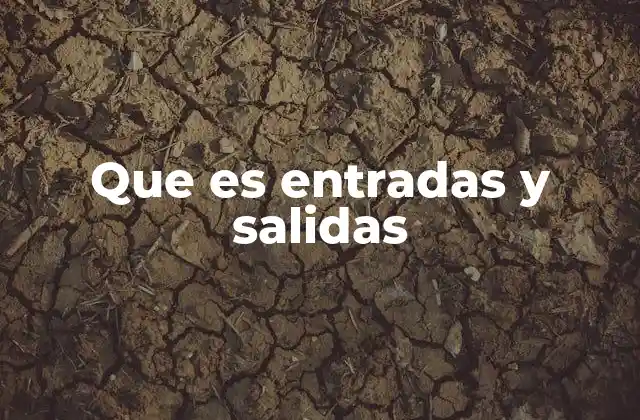 El rol de las entradas y salidas en sistemas automatizados