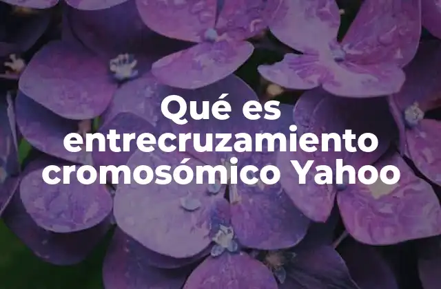 Qué es Entrecruzamiento Cromosómico Yahoo