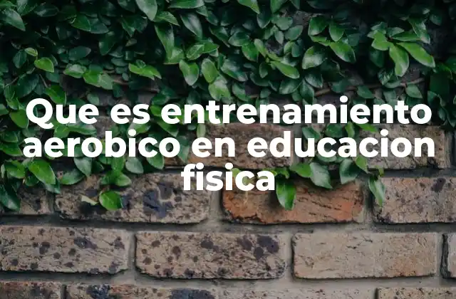 Que es Entrenamiento Aerobico en Educacion Fisica