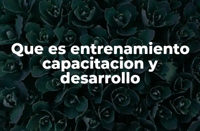 La importancia de la formación continua en el entorno laboral