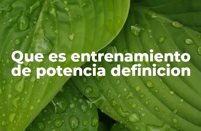 Que es Entrenamiento de Potencia Definicion