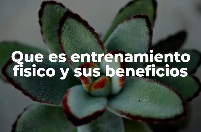 Que es Entrenamiento Fisico y Sus Beneficios