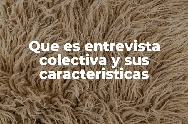 Que es Entrevista Colectiva y Sus Caracteristicas