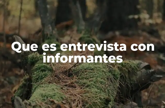 Que es Entrevista con Informantes 2 El rol de los informantes en la investigación cualitativa