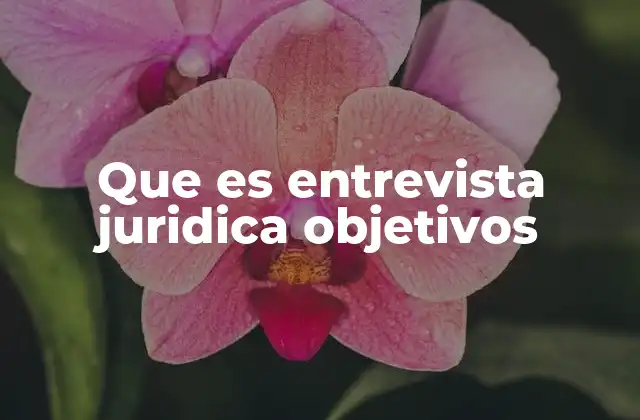 Que es Entrevista Juridica Objetivos