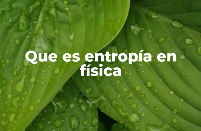 Que es Entropía en Física 2 La entropía y su relación con el desorden en la materia
