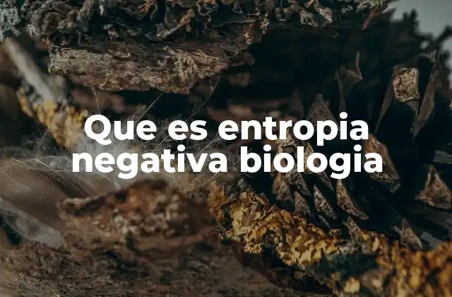 Que es Entropia Negativa Biologia