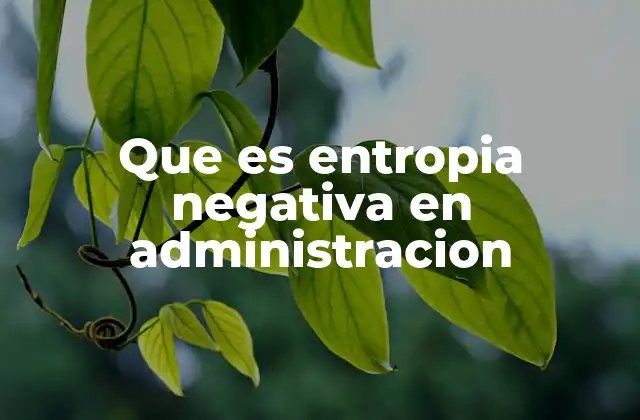 Que es Entropia Negativa en Administracion