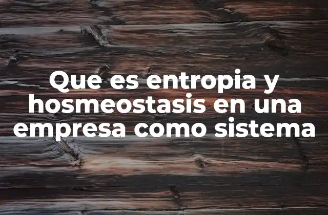 Que es Entropia y Hosmeostasis en una Empresa como Sistema 2 La empresa como sistema complejo: entropía y homeostasis como herramientas de análisis