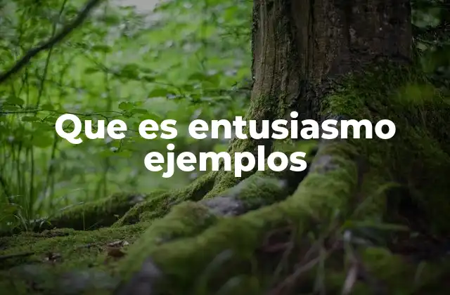 Que es Entusiasmo Ejemplos
