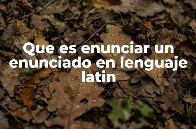 Que es Enunciar un Enunciado en Lenguaje Latin