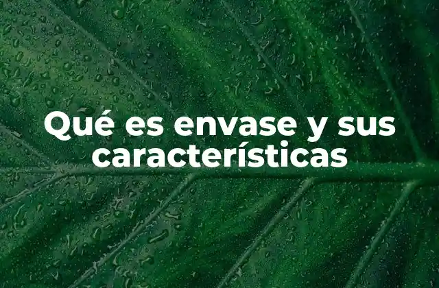 Qué es Envase y Sus Características