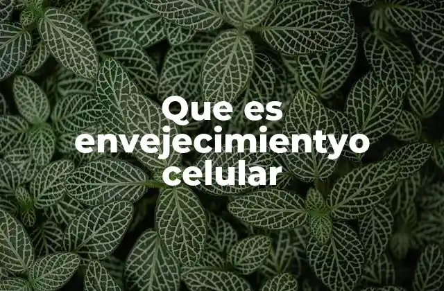 Los factores que contribuyen al envejecimiento celular