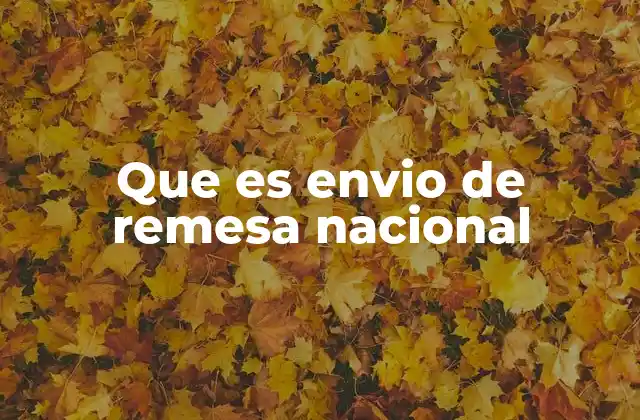 Que es Envio de Remesa Nacional