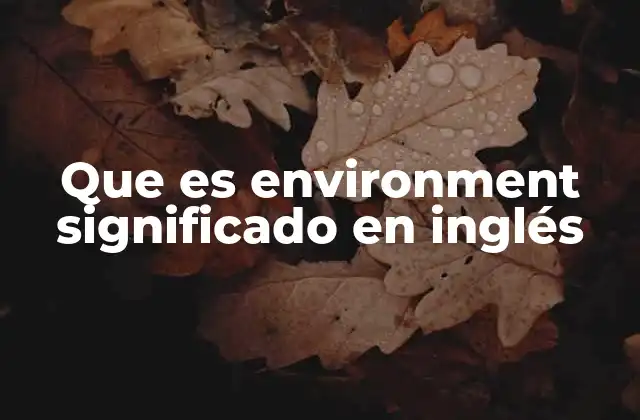 Que es Environment Significado en Inglés