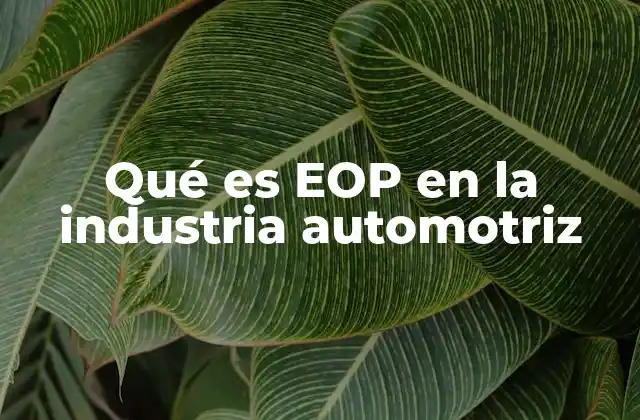 Qué es Eop en la Industria Automotriz 2 El rol del EOP en la planificación estratégica de fabricantes