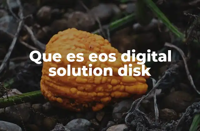 Que es Eos Digital Solution Disk