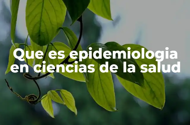 El rol de la epidemiología en la toma de decisiones sanitarias
