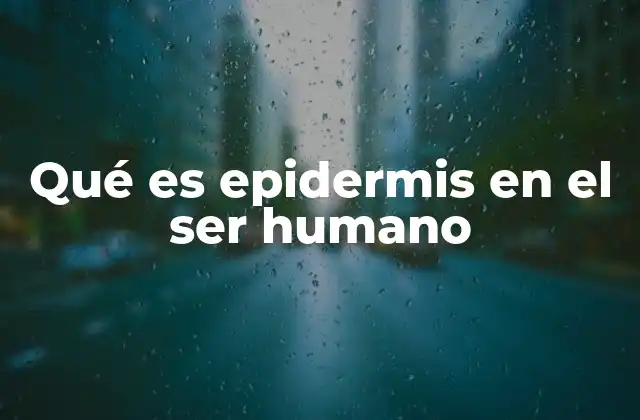 Qué es Epidermis en el Ser Humano 2 La epidermis como defensa natural del cuerpo