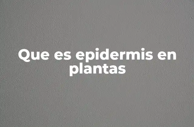 Que es Epidermis en Plantas