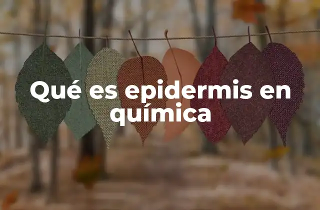 Qué es Epidermis en Química