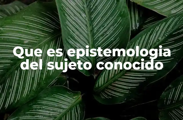 Que es Epistemologia Del Sujeto Conocido